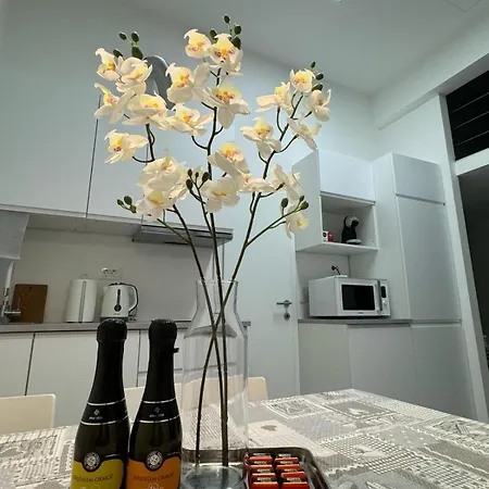 Elena לובליאנה